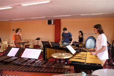 Percussi&oacute;