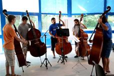 Contrabaixos